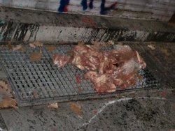 Gammelfleisch2
