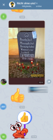 02.05.2020: Werbung der Identitären Bewegung wird in der offiziellen bundesweiten Telegram-Gruppe von "Nicht ohne uns!" positiv bewertet. (Screenshot: Telegram)
